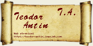 Teodor Antin vizit kartica